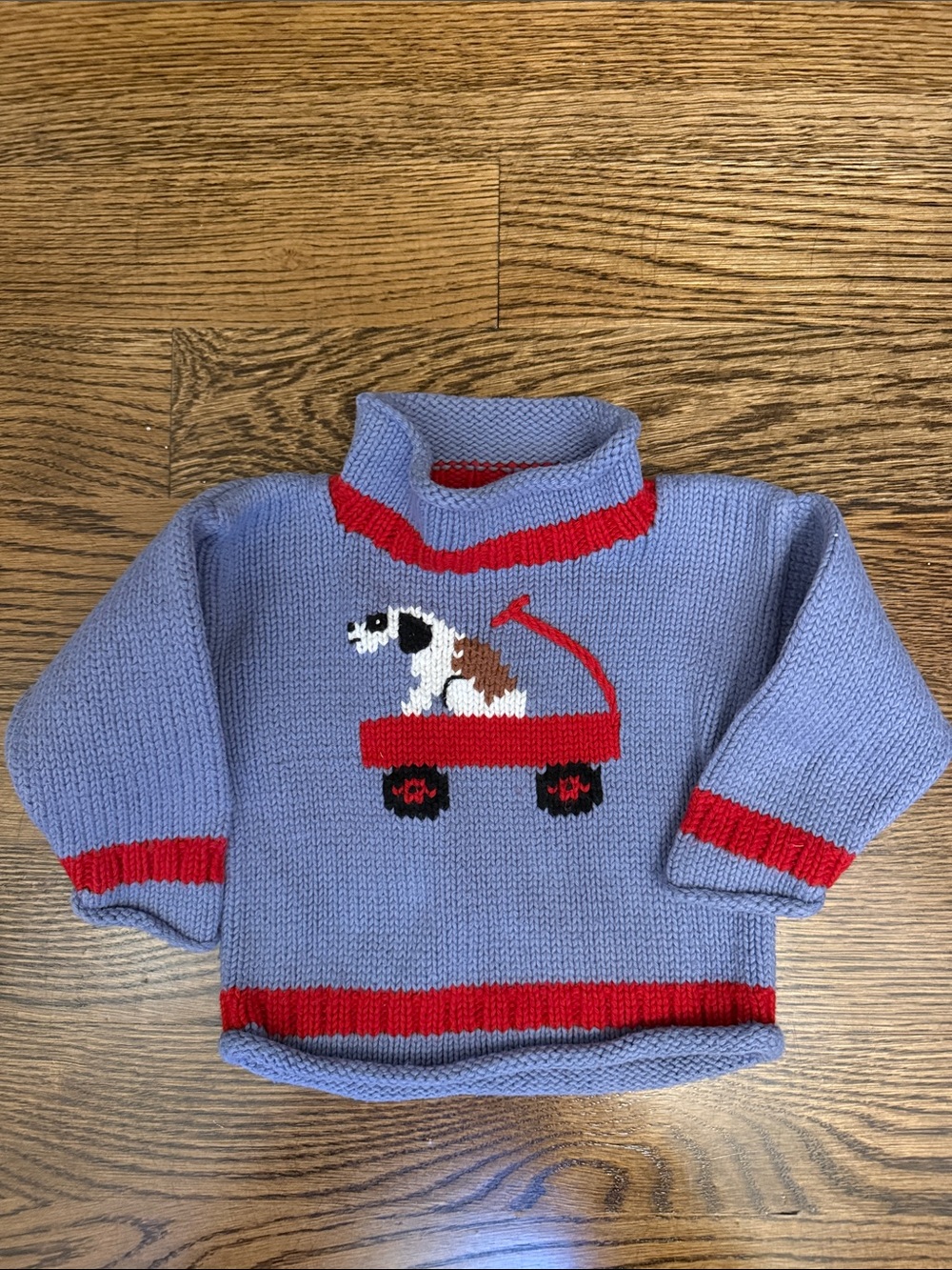 Kids Light Blue Knit Sweater with Red Wagon Dog Motif